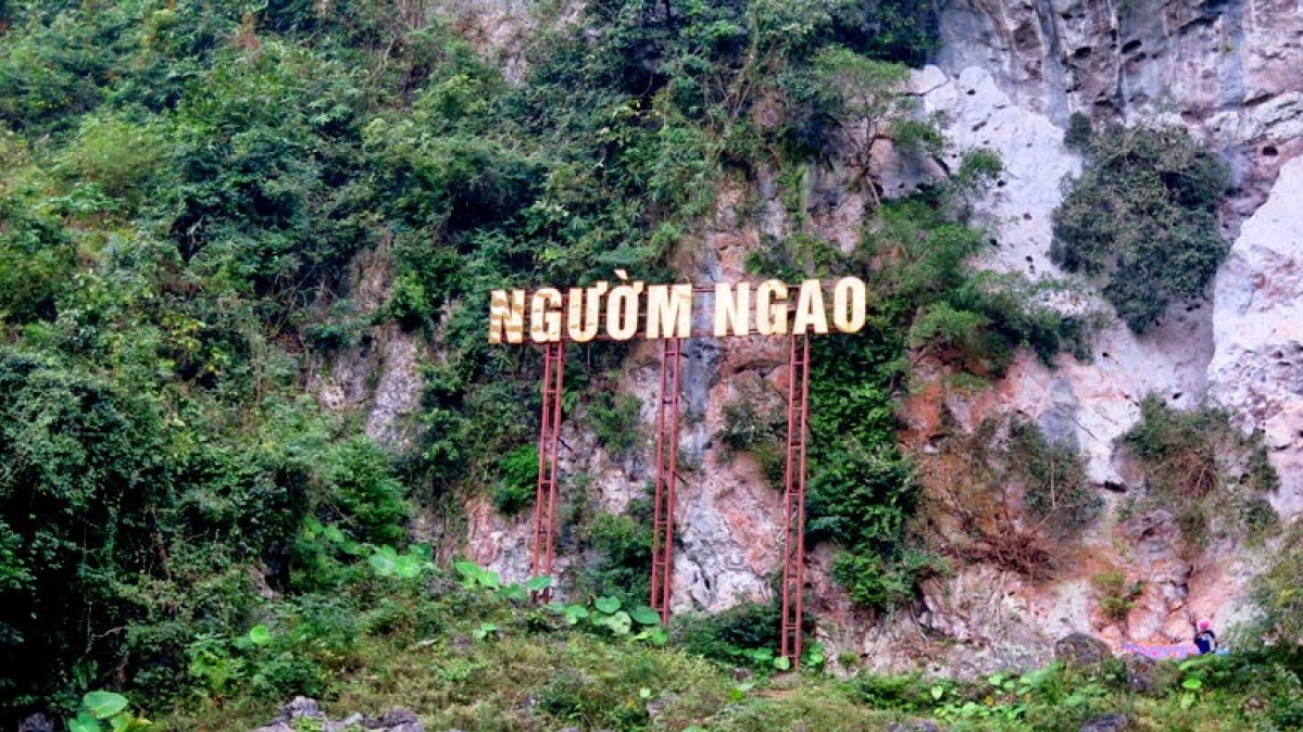 động ngườm ngao